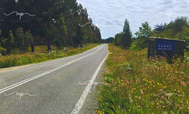 PARCELA DE 20500 M2 CEBADAL MAULLIN