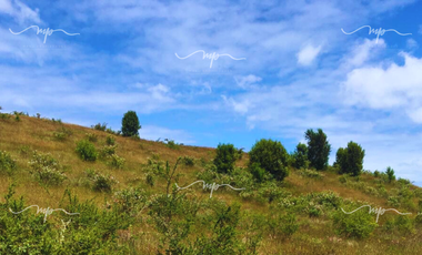 PARCELA DE 20500 M2 CEBADAL MAULLIN