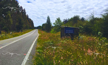 PARCELA DE 20500 M2 CEBADAL MAULLIN