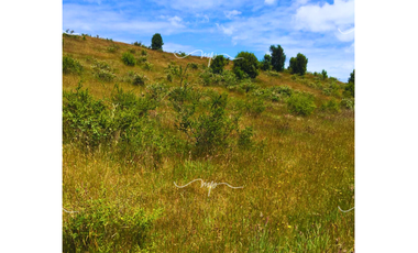 PARCELA DE 20500 M2 CEBADAL MAULLIN