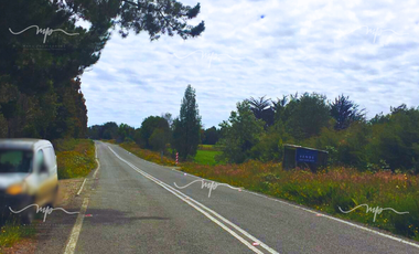 PARCELA DE 20500 M2 CEBADAL MAULLIN