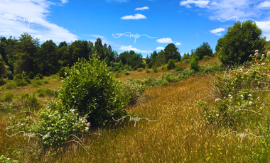 PARCELA DE 20500 M2 CEBADAL MAULLIN