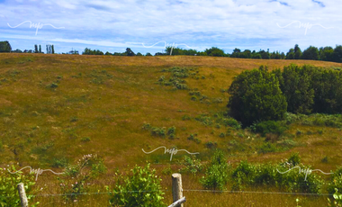 PARCELA DE 20500 M2 CEBADAL MAULLIN