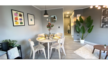 ARRIENDO DEPTOS NUEVOS 1D1B, SANTIAGO CENTRO,