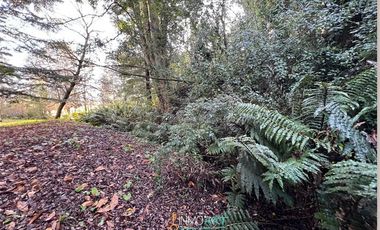 Casa en Venta en KM 7,3 desde Pitrufquén, camino Pitrufquén - Ñancul