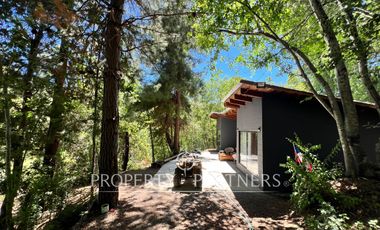 Linda casa en la precordillera con entorno nativo