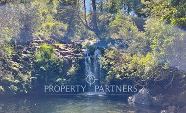 Linda casa en la precordillera con entorno nativo