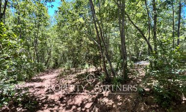 Dos lindas casas en privilegiado entorno natural