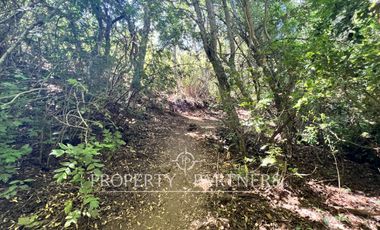 Dos lindas casas en privilegiado entorno natural