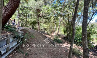 Dos lindas casas en privilegiado entorno natural