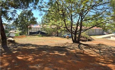 TERRENO EN RENTA, CAMINO AL FRESNO.