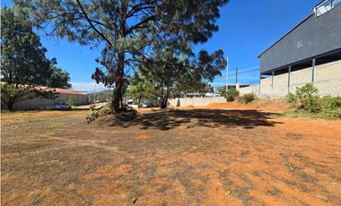 TERRENO EN RENTA, CAMINO AL FRESNO.