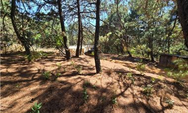 TERRENO EN RENTA, CAMINO AL FRESNO.