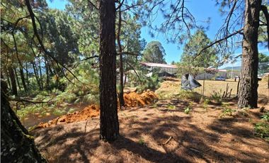 TERRENO EN RENTA, CAMINO AL FRESNO.