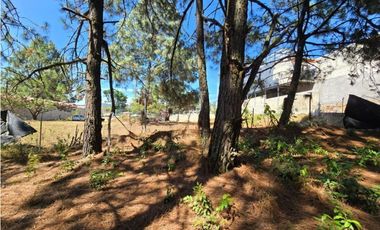 TERRENO EN RENTA, CAMINO AL FRESNO.