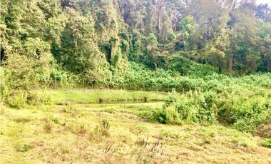 TERRENO EN RENTA, SAN SIMÓN EL ALTO.