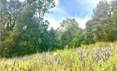 TERRENO EN RENTA, SAN SIMÓN EL ALTO.
