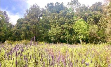 TERRENO EN RENTA, SAN SIMÓN EL ALTO.
