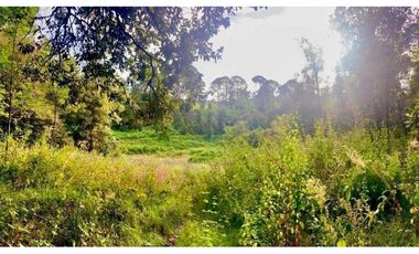 TERRENO EN RENTA, SAN SIMÓN EL ALTO.