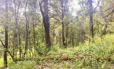 TERRENO EN RENTA, SAN SIMÓN EL ALTO.