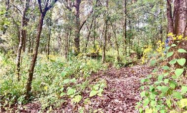 TERRENO EN RENTA, SAN SIMÓN EL ALTO.