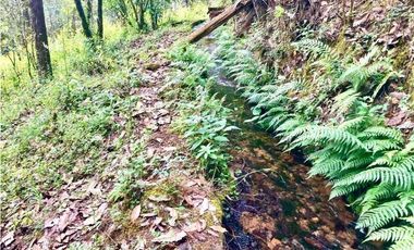 TERRENO EN RENTA, SAN SIMÓN EL ALTO.
