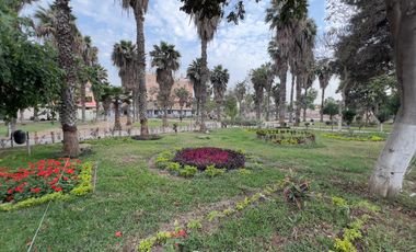 Se Alquila Amplio Departamento frente a Parque Estac. San Carlos SJL