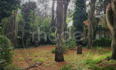 Amplia casa en Costa del Este