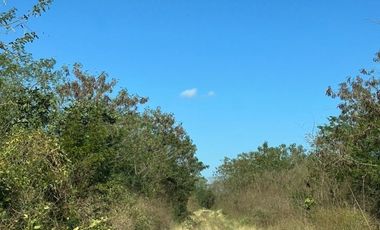 Terreno a 3 minutos de Motul Pueblo mágico de Yucatán de 47,527.42 m2