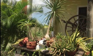 CASA TIPO HACIENDA  CON TERRENO