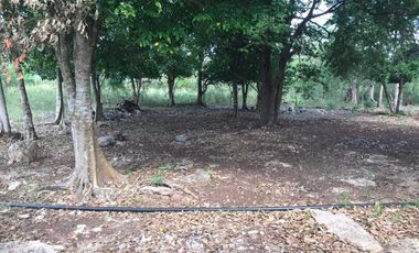 CASA TIPO HACIENDA  CON TERRENO