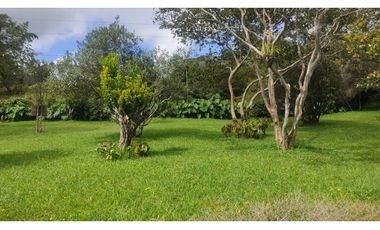 Finca en arriendo en Parcelación San Jorge Vía Rionegro La Ceja