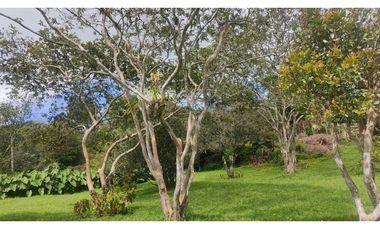 Finca en arriendo en Parcelación San Jorge Vía Rionegro La Ceja