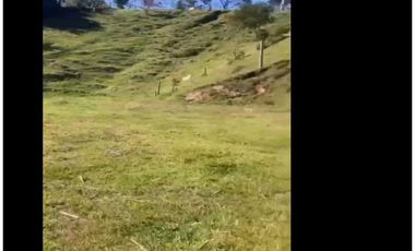 LOTE EN VENTA CHAPARRAL SAN VICENTE