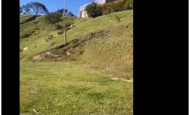 LOTE EN VENTA CHAPARRAL SAN VICENTE