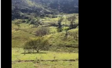 LOTE EN VENTA CHAPARRAL SAN VICENTE