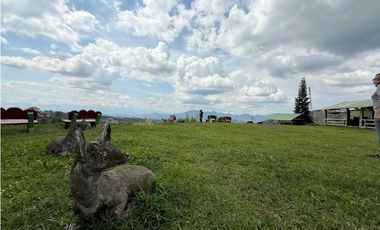🌿 Finca Turística en Venta – Autopista del Café (Armenia – Pereira)