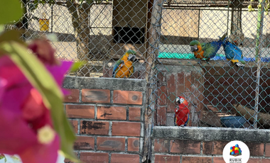 Venta de Finca en Sabanagrande, Parcela Los Aceitunos 1