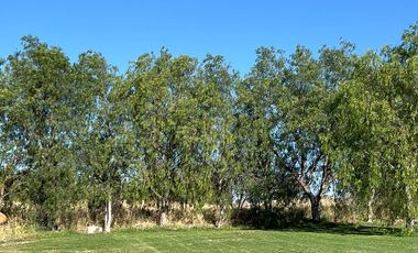 TERRENO CAMPESTRE EN VENTA EN EDEN LOS SABINOS