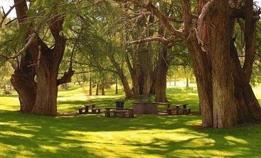 TERRENO CAMPESTRE EN VENTA EN EDEN LOS SABINOS