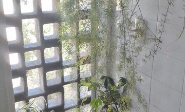 DEPARTAMENTO - VENTA - VILLA ELISA