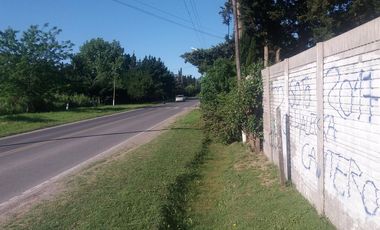 Casa - Venta - Villa Elisa