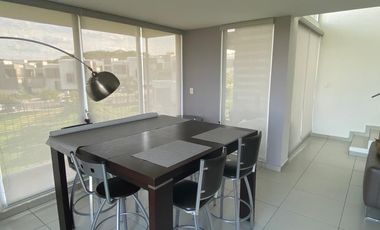 VENTA / RENTA DEPARTAMENTO EN MEZQUITE ZIBATA AMUEBLADO 11