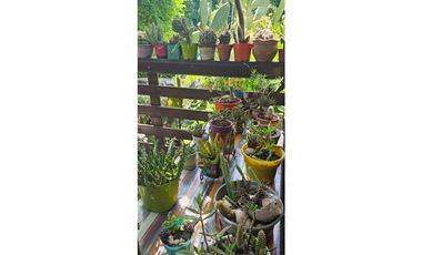 VENTA/ALQUILER - Chalet 4 amb, con piscina - Zona Bosque P.Ramos