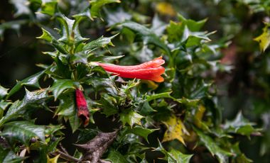 Parcela en venta en MARIQUINA