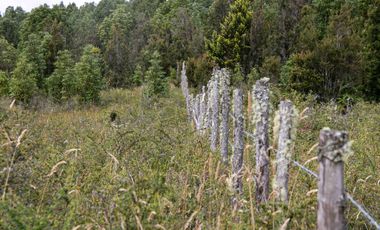 Parcela en venta en MARIQUINA