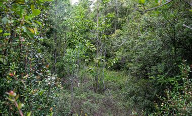 Parcela en venta en MARIQUINA