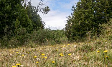 Parcela en venta en MARIQUINA