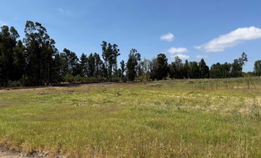 Parcela en venta en LAS CABRAS