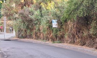 Sitio en Venta en Lo Cañas, La Florida